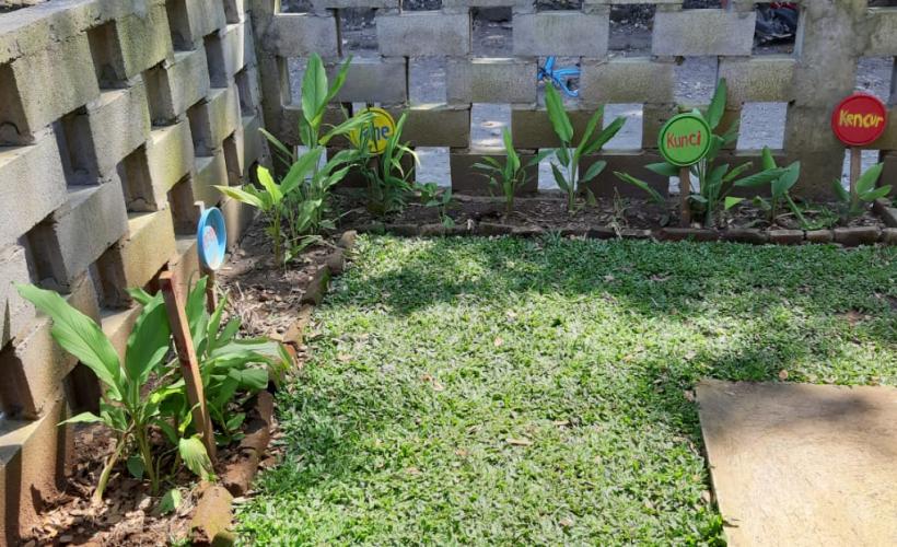 monitoring and evaluation ars86care foundation